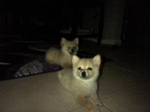 Jack and Lilly as babies