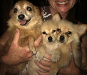 Char, their dog mom, Lilly and Jack